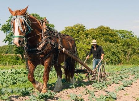 farmer