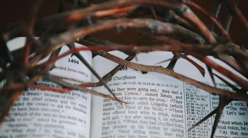 crown thorns