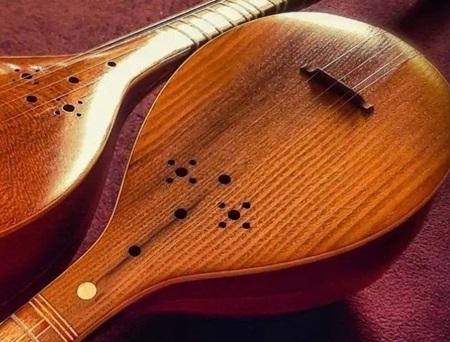 stringed instrument