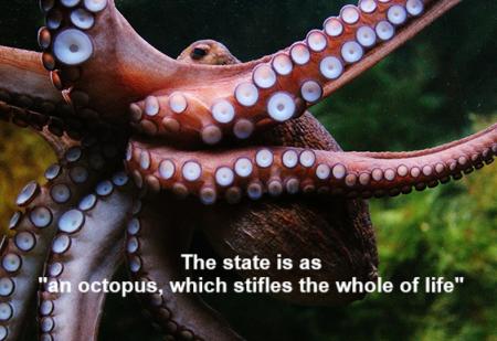 octopus