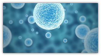 Human Stem Cells in Medical Science,  Ethical Values and Limits