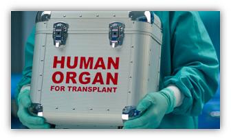 What Is God's Will Regarding Human Organ Transplants?